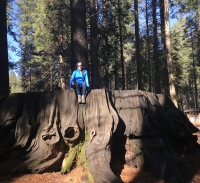 Photo of Sydney S at her Gallo internship in California Photo of Sydney S at her Gallo internship in California