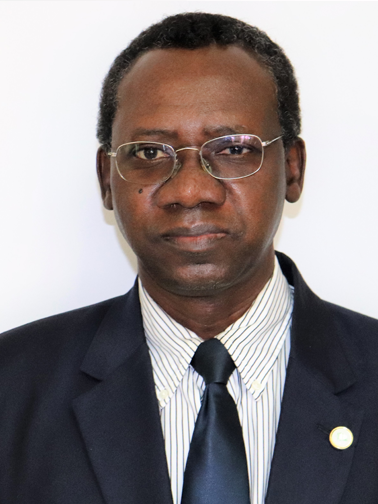 Scott Piggott - 2019 College of Engineering BAE Distinguished Alumni Award Recipient Dr. Alioune Fall - 2020 College of Engineering BAE Distinguished Alumni Award Recipient