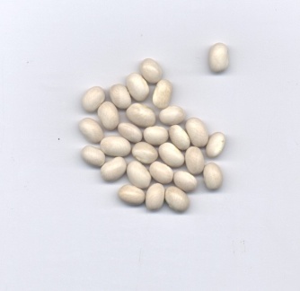 Otebor Beans Otebo Beans