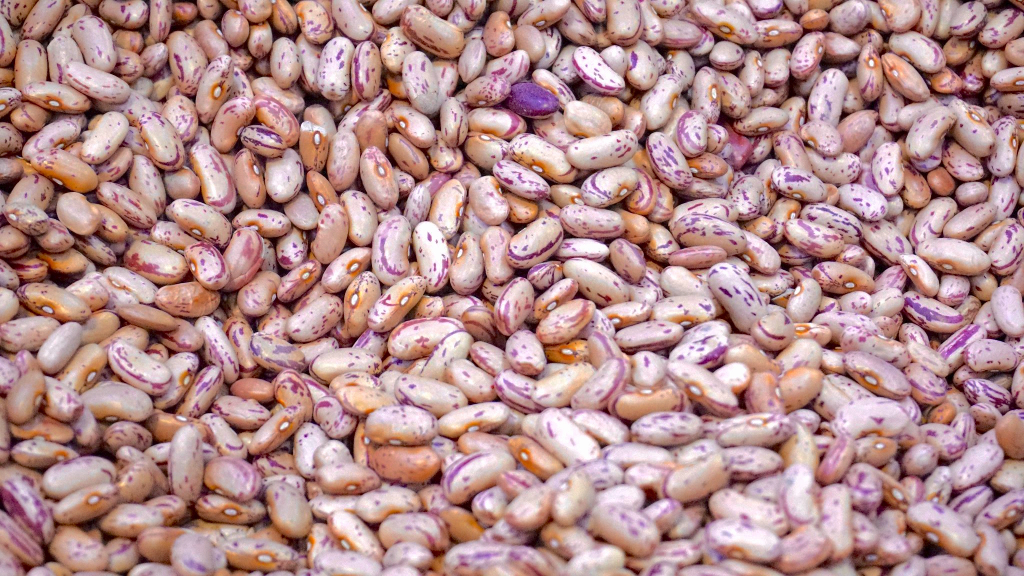 Red and white beans