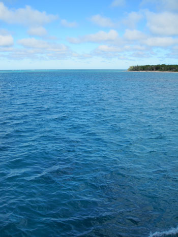 great barrer reef great barrier reef
