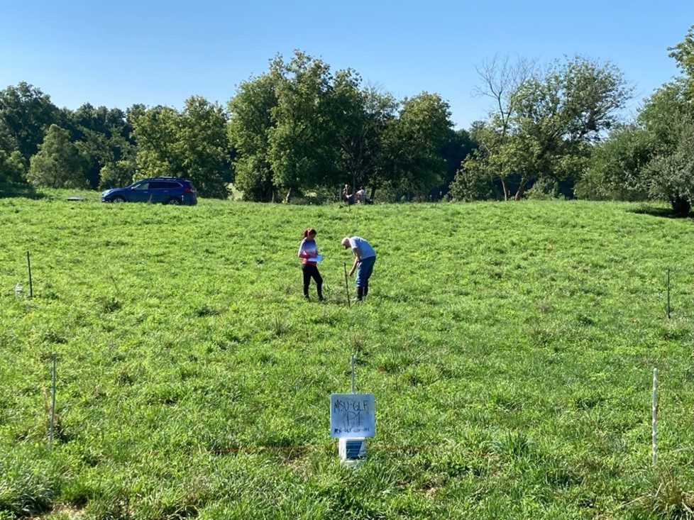 Long-term monitoring site setup