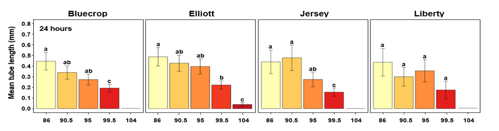 A series of graphs.