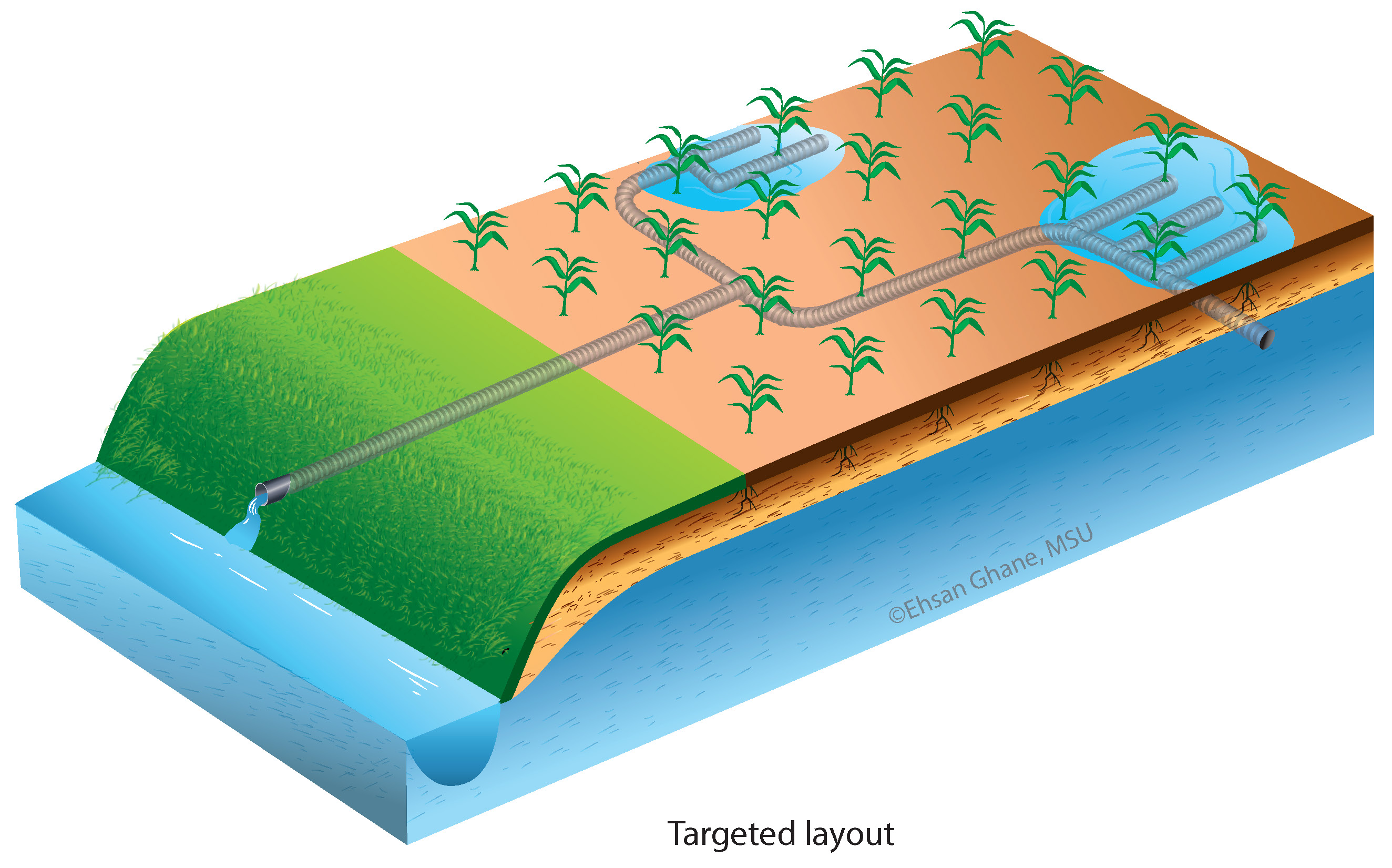 Targeted layout