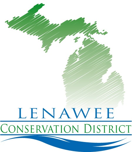 LCD logo