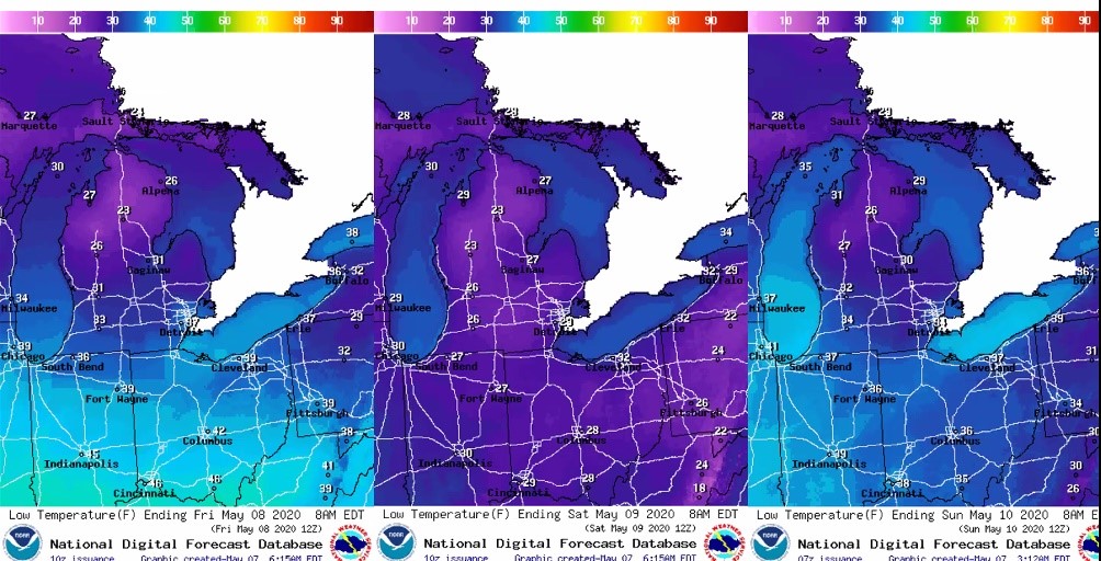 Low temperatures predicted