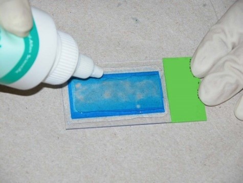 Figure 2D Microscope Slide Cover applied