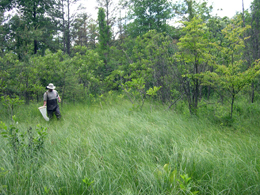 Working in fen Working in fen