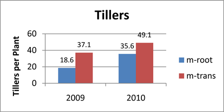 Tillers per Plant in 2009 and 2010. Tillers per Plant in 2009 and 2010.