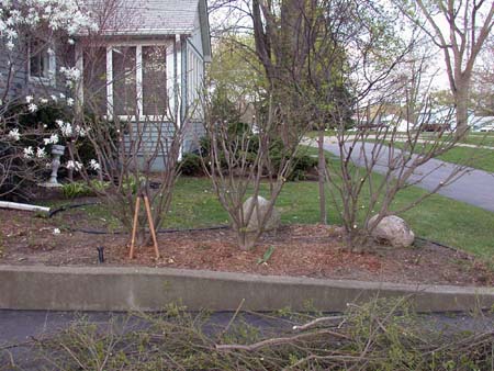 EAC after thinning. EAC after thinning.