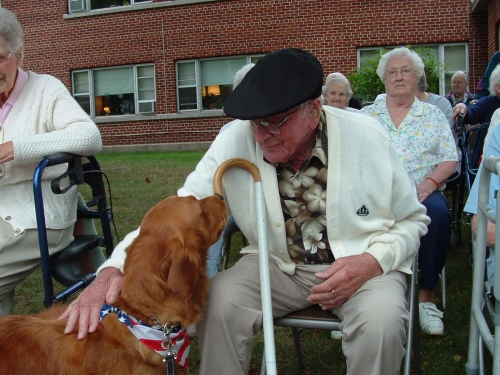 Dog pet therapy Dog pet therapy