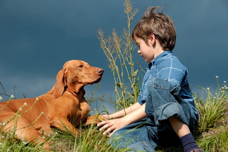 Young boy training his dog. Young boy training his dog.