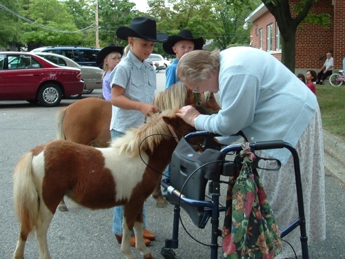 horse pet therapy horse pet therapy