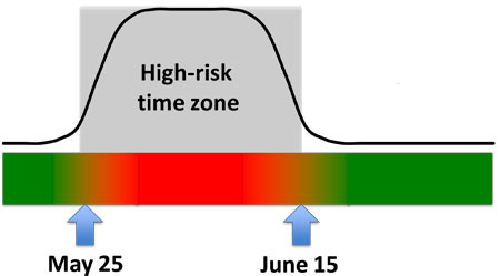 Figure 1 Figure 1