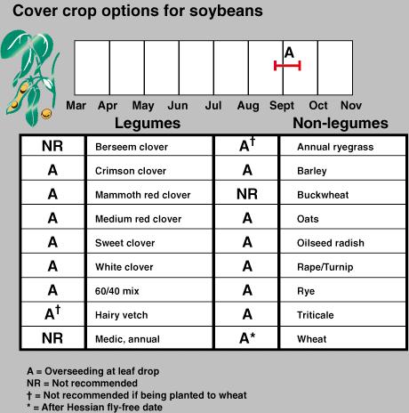 Soybean chart Soybean chart
