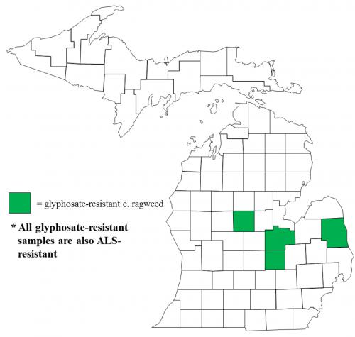 Map of Common ragweed distribution in Michigan