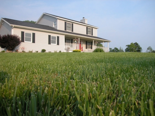 lawn lawn
