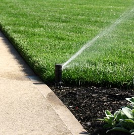 Lawn watering incorporating mulch.  Lawn watering incorporating mulch.