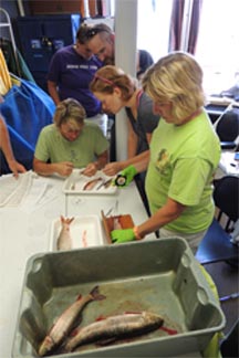 Teachers measuring fish samples on board the R/V Lake Guardian. Teachers measuring fish samples on board the R/V Lake Guardian.