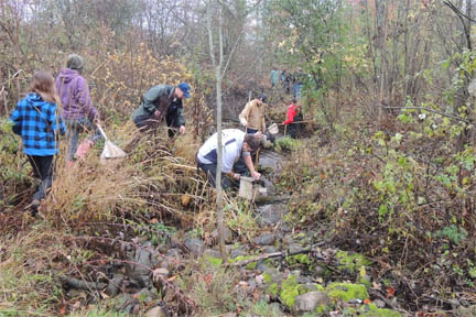 Students collecting samples on riverbank. Students collecting samples on riverbank.