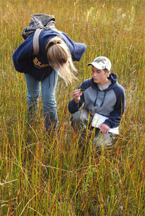 Alcona High School/Negwegon State Park - students exploring the wetland image. Alcona High School/Negwegon State Park - students exploring the wetland image.