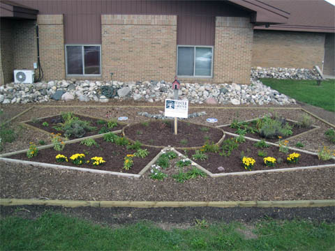 School garden image. School garden image.