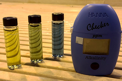 Portable and hand-held alkalinity meter