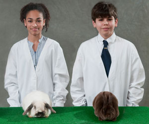 Rabbit Showing Rabbit Showing