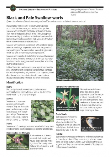 Michigan Natural Features Inventory Best Control Practice Guide for Swallow-wort  Michigan Natural Features Inventory Best Control Practice Guide for Swallow-wort