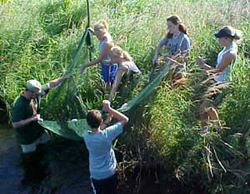 Fisheries Fisheries